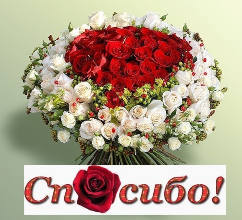 - цветы.jpg