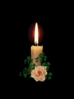  роза.gif